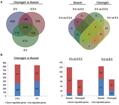 Transcriptomic Profiling of Soybean in Response to High-Intensity UV-B Irradiation Reveals Stress Defense Signaling